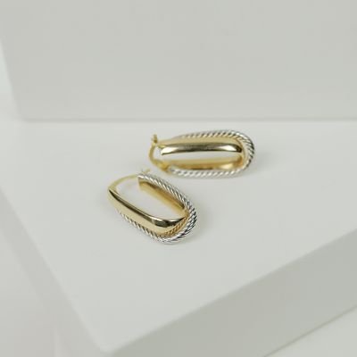 Elegant Gold & Silver Earrings