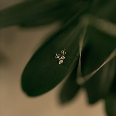 Minimal Silver Leaf Earrings